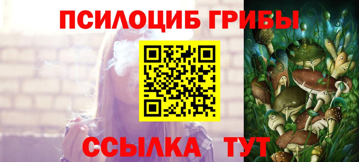 Псилоцибиновые грибы Psilocybine cubensis  Вход с VPN  Южно-Сахалинск 