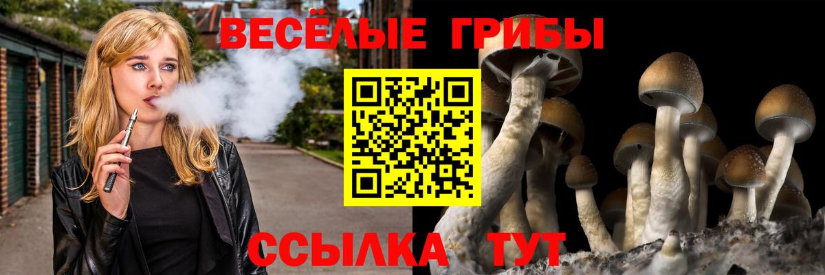 Псилоцибиновые грибы Magic Shrooms Южно-Сахалинск